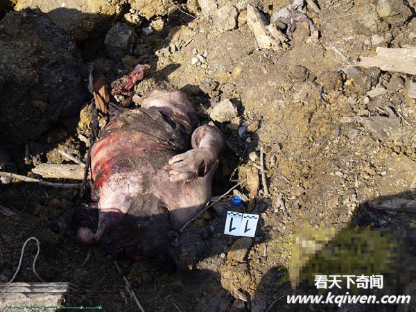 俄军投4吨弹药炸毁恐怖分子兵工厂 尸体残体满地(直击组图57P)